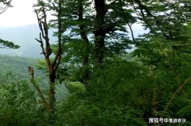 专家倡导规范化治疗提升中国淋巴瘤患者五年无病生存率