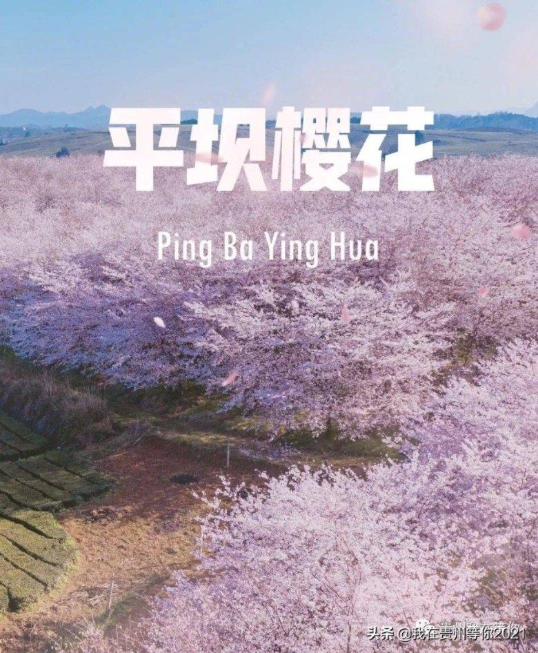 迷雾世界