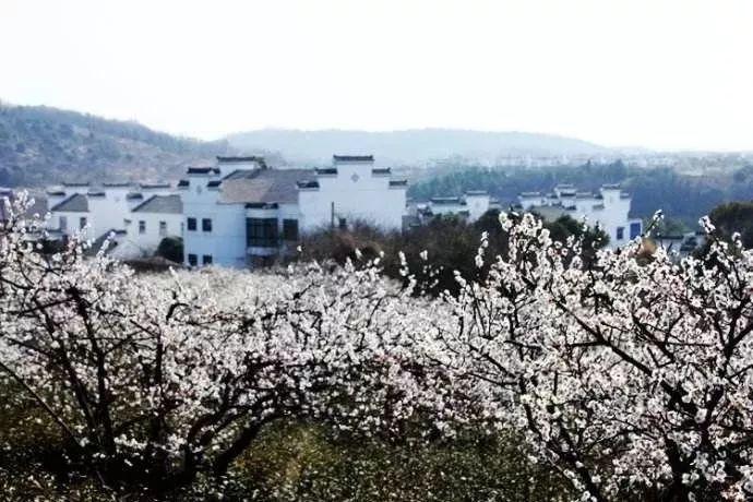 小小棒球赛