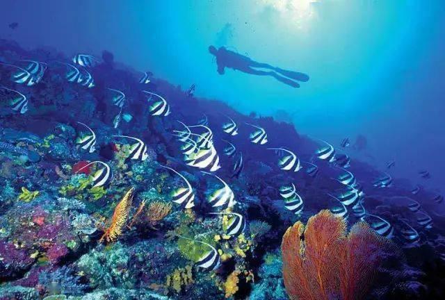 2024春节山东乡村文旅节在高青启动