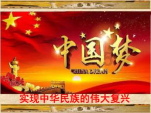 救援小犬立苏