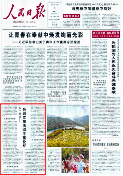 救援小巨鳄