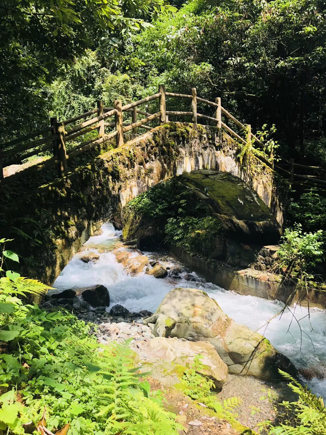 救援高中女孩