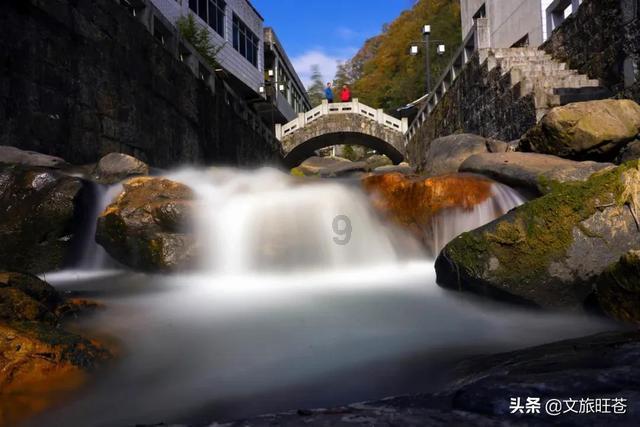 大金狮逃生