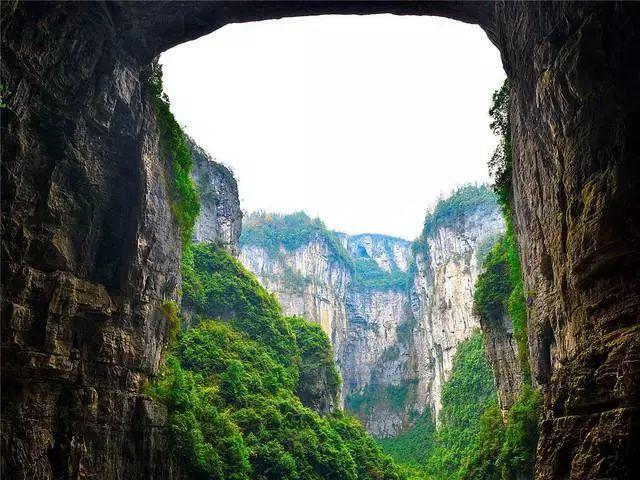 葫芦瓜变苦还能不能吃?有问必答平台-全面解答您的疑惑