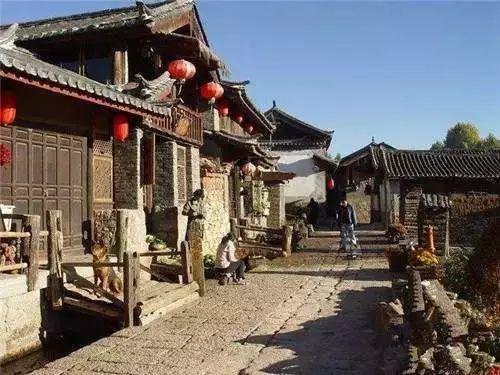 我省白杨派山杨新品种“立阳”获国家植物新品种授权