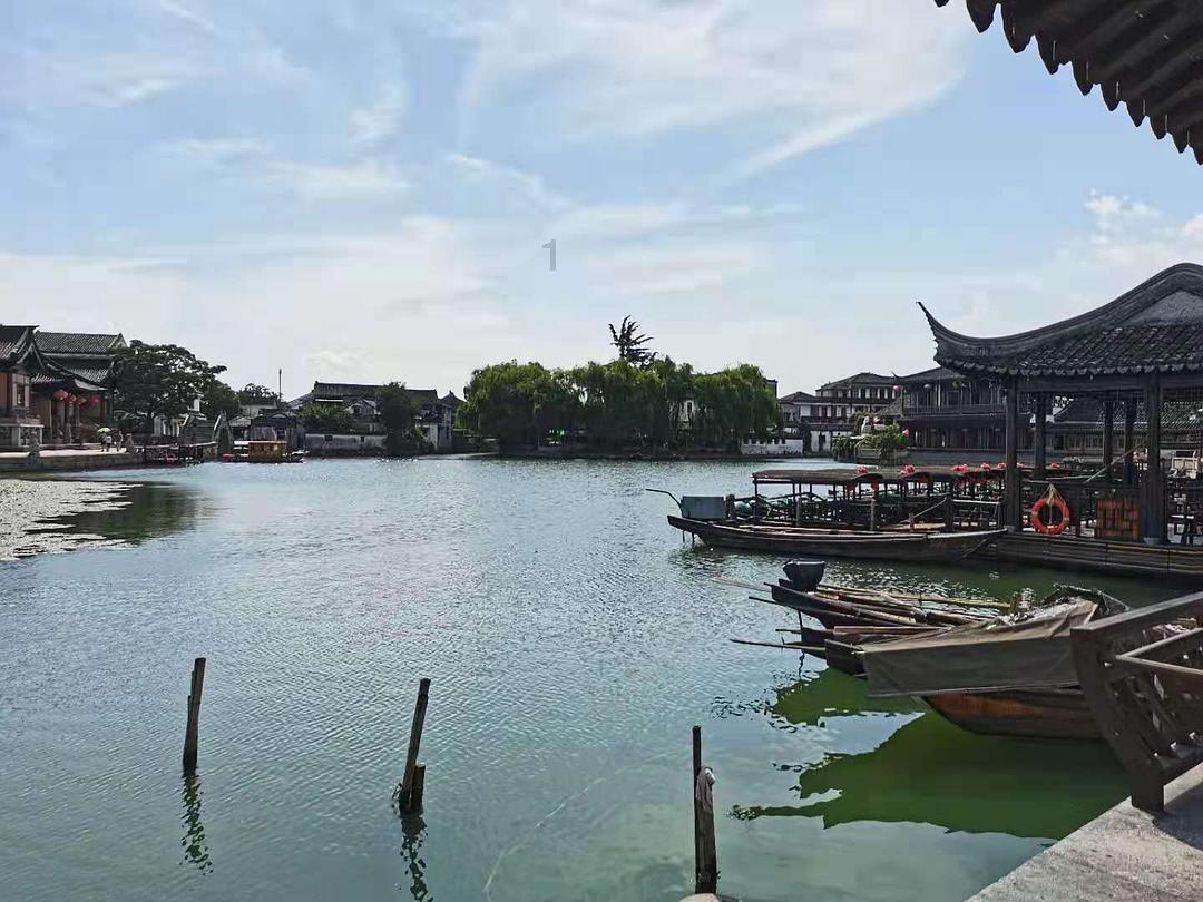 逗小猴开心系列203
